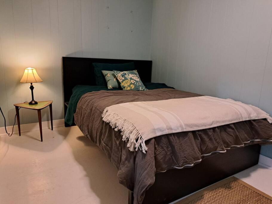 Blue Dog Accommodations Eastend Luaran gambar