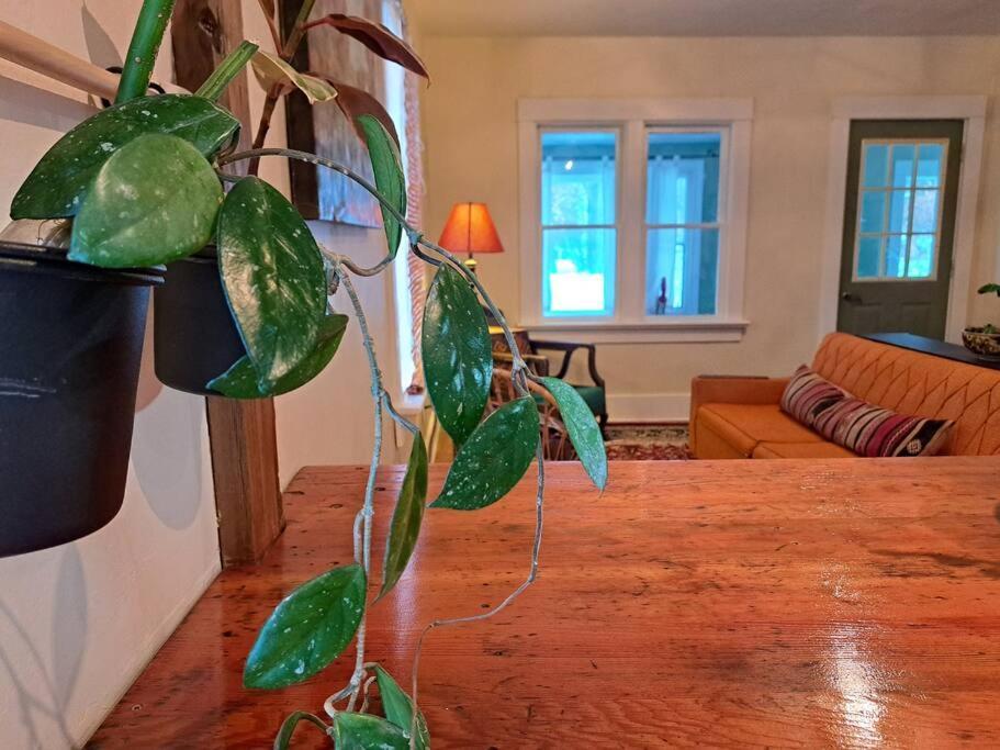 Blue Dog Accommodations Eastend Luaran gambar