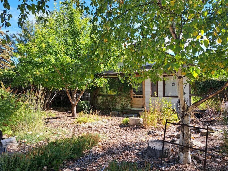 Blue Dog Accommodations Eastend Luaran gambar